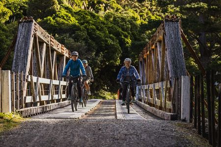 Remutaka Rail Trail Explorer - eBike Cruise Ship Shore Excursion