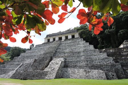 Palenque Maya ruins & swim in Roberto Barrios fresh waters