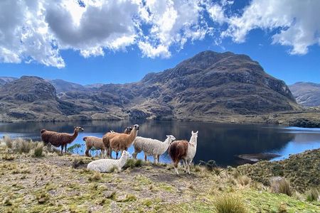 Cajas National Park Small-Group tour from Cuenca