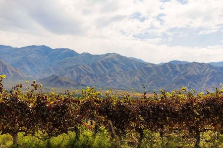 The Calchaqui Valley Winery and Scenery Tour in Cafayate
