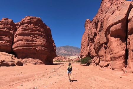 The Calchaqui Valley Winery and Scenery Tour in Cafayate