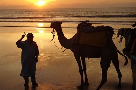 Day Tour on Dromedary and Overnight Stay Near Essaouira Morocco