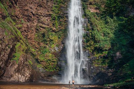 Wli Waterfall and Tafi Atome Monkey Sanctuary (Day Visit)