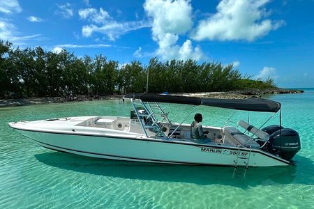 Private 4-Hour Rose Island charter Snorkeling Turtles & Beaching