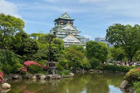 Allure of Osaka Walking Day Tour with a local guide 