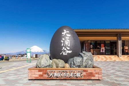 Mt Fuji Hakone Tour from Tokyo: Cable Car and Cruise Option