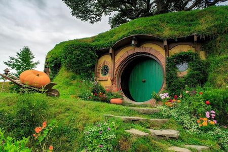 Private Hobbiton & Blue springs & Redwood forest from Auckland