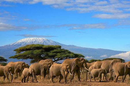 3 Days 2 Nights Amboseli National Park Tour
