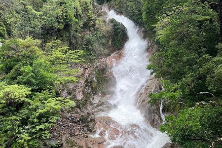 Rainforest Volcano Tour