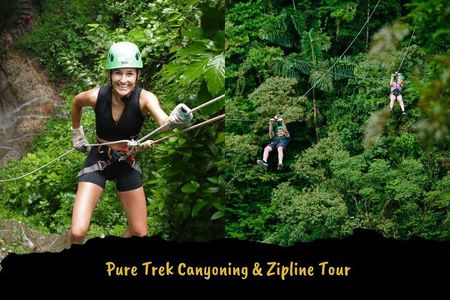 Ziplining and Waterfall Rappelling Combo in Costa Rica