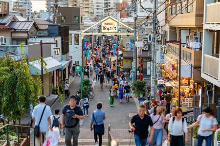 Tokyo: Yanaka Historic Streets Guided Tour & Asakura Museum Visit