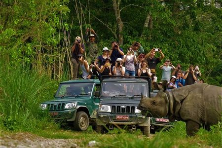 2 Nights 3 Days Chitwan National Park Package with Jeep Safari