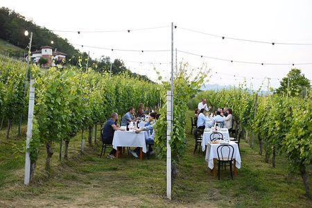 Guided Walk and Lunch in the Vineyard in Alba