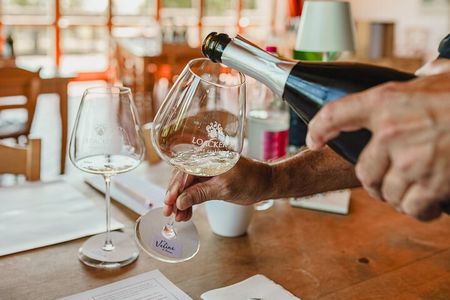 Winery tour & wine tasting in Montalcino