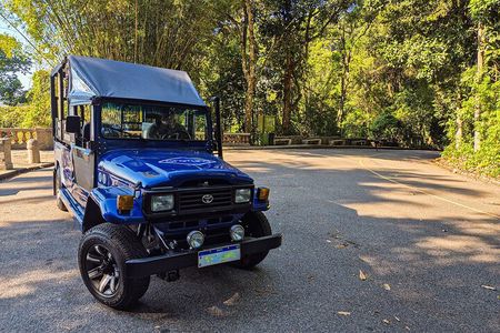 Jeep'n'Green: Rio Botanical Garden and Tijuca Rainforest Tour
