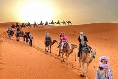 From Marrakech: 3-Day Desert Tour Share-Group And Camel trekking