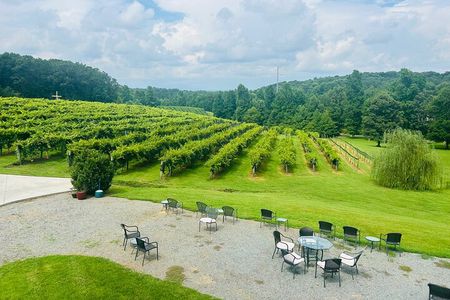 Elijay Three Vineyards Private Wine Tasting Tour from Atlanta