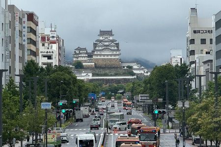 Himeji: Private Guided Tour of Himeji Castle and Engyoji Temple 