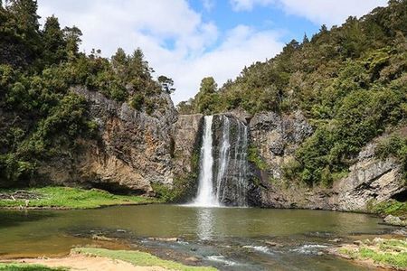 Private VIP Guided Auckland Waterfalls Tour