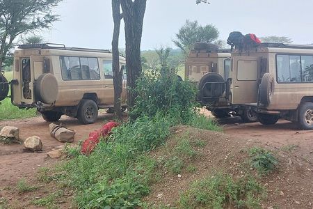 5 Day Camping Tarangire Serengeti Ngorongoro Crater and Maasai