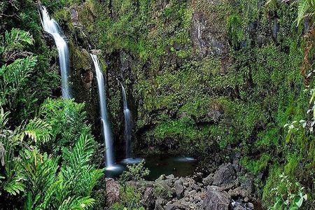 Deluxe Road to Hana Rainforest and Waterfall Experience from Maui
