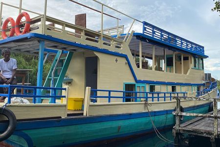  3 Days Deluxe Cabin Houseboat Orangutan Tanjung Puting