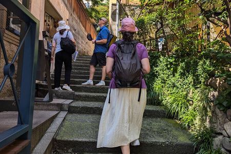 Private Walking Tour: The Little Kyoto of Tokyo, Kagurazaka