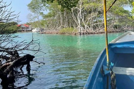 East Side Mangrove Tunnel wildlife encounter private Adventure 