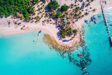 Experience Full Day Tour of Tropical Bliss at Isla Saona