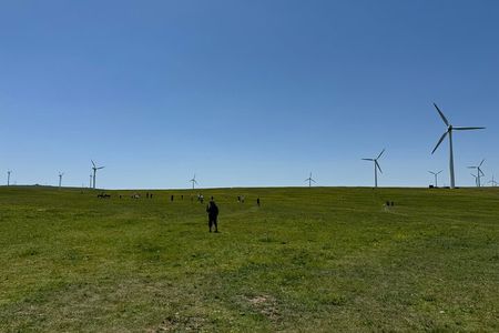 4D3N Huitengxile Grassland Wulanhada volcano Kubuqi Desert Tours