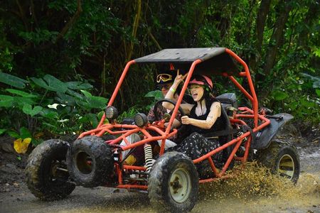 Roatán Shore Excursion: Wildlife+ATV Buggy & Beach(Snack+2 Beers)