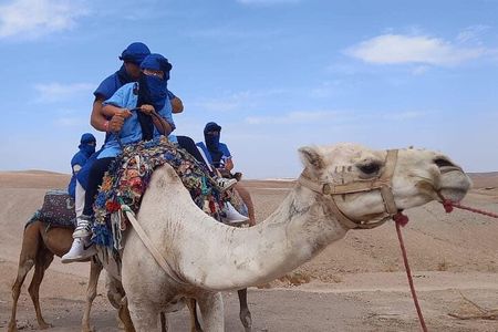 Camel Ride and Quad Tour in Marrakech 
