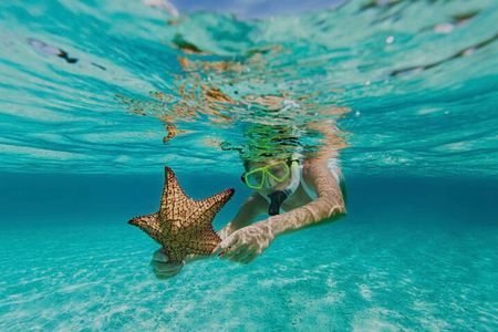 Roatán Snorkeling Tour & West Bay Beach Day Pass