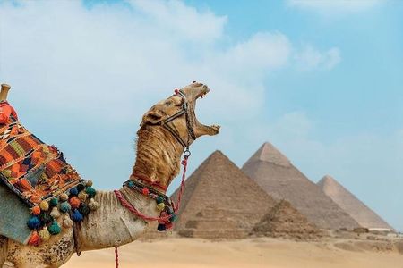 Private Full-Day Tour to Giza Pyramids, Sphinx, Saqqara & Memphis