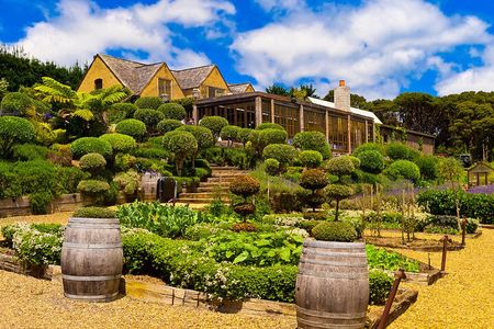 Waiheke island Wine Tours - PREMIUM wine tasting MAX 11 clients !