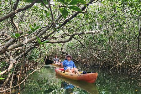 Kayak Trip & 3 hikes in Everglades National Park