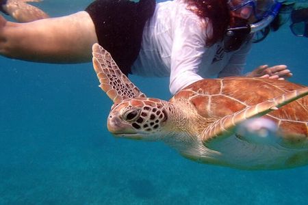 Paddle and Snorkel Tour