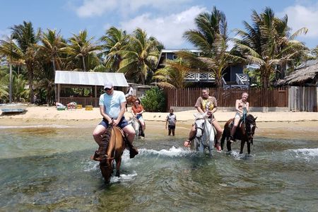 Roatan Combo Horseback Ride with Zip Line Wildlife and Snorkel
