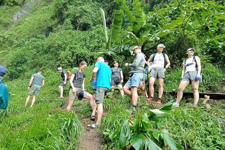 Private Materuni Waterfalls, Coffee Tour and Kikuletwa Hot Spring
