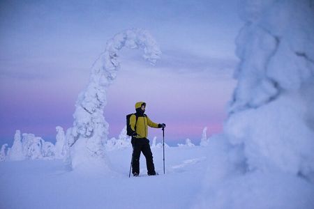 Guided 3-Hour Snowshoe Adventure in Lapland (Private)
