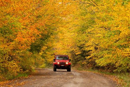Cape Breton Fall Colours Tour On and Off Road