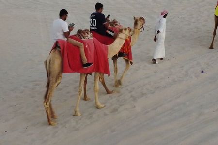 Private-Doha Horse Ride/Camel Ride/Quad Bike All Inclusive Tour