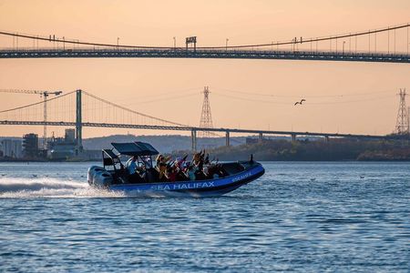 Halifax Harbour Historical & Wildlife High-Speed Tour