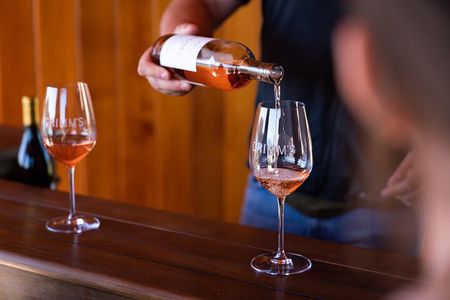 Private Vineyard Tour and Wine Tasting