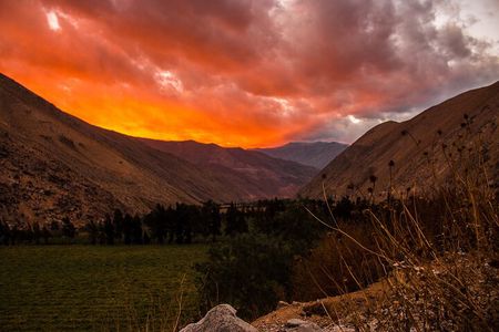 Elqui Valley Tour: Full Day History and Flavors 