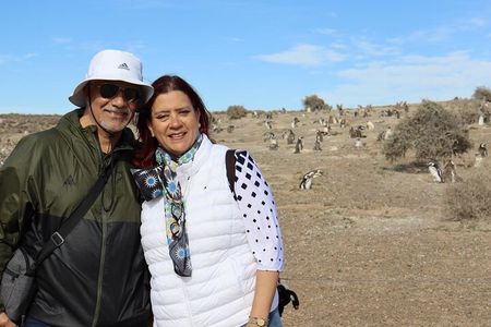 Walk with the Penguins- EARLY BOOKING -20% OFF Cruise Passengers 