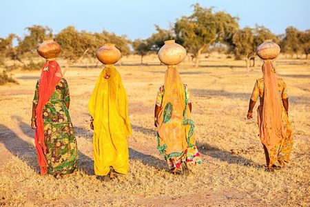 12 Days Adventurous Rajasthan Tour With Wildlife & Taj Mahal