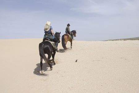 1 Day Horseback Riding Tour with Overnight Stay in Berber Tent