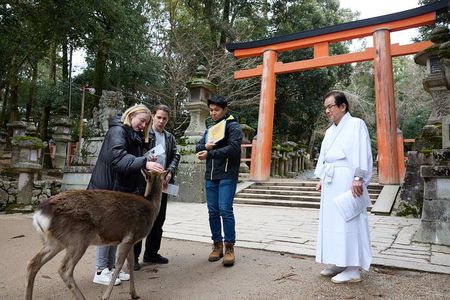 Nara: 1.5 Hour Private Kasuga Taisha Shrine Tour - World Heritage