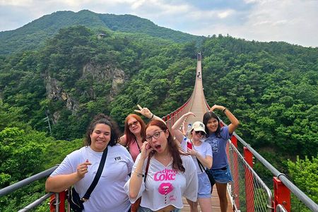 Small Group DMZ Tour from Seoul Korea with North Korean Defector